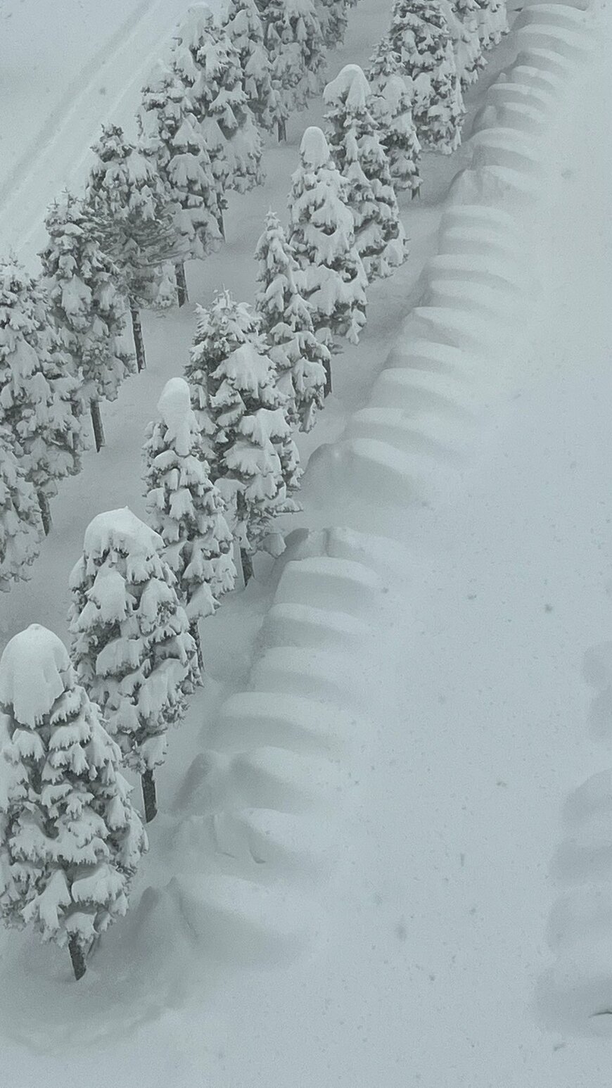 雪に覆われた北海道の駐車場