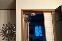 妻が悲鳴を上げ…見に行くと　仰天！ホラーな猫の光景に17万バズ