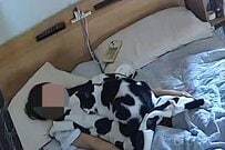 「朝の寝室」の様子に強烈な違和感　ベッドの上で「隠れている生物」に思わず目を疑う