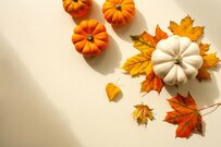 その差9万円「基礎年金vs厚生年金」平均額と受給実態を探る！