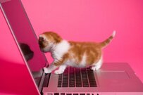 FPが解説「子育て世帯が教育費を貯める方法３つ」