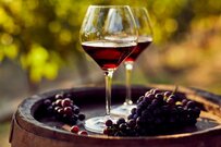 日本で「資産1億円以上の富裕層」の割合は？富裕層が「節約のためにやらないこと」3選と節約が続くワケ