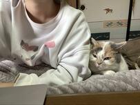 仕事の「現場監督」する猫さんが話題　「お仕事頑張ってるニャ？」がほほえましい