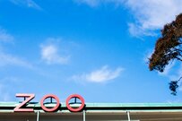 動物園で息子が夢中になった「意外なもの」　自由すぎる視点が「子どもあるある」だと思わず共感