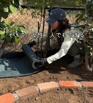 投稿の画像