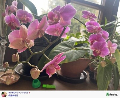 假屋崎省吾の公式ブログ投稿