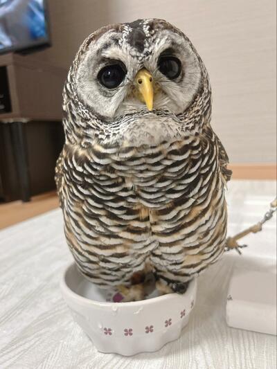 投稿写真