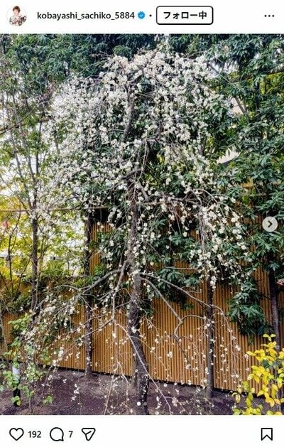 小林幸子のInstagram投稿
