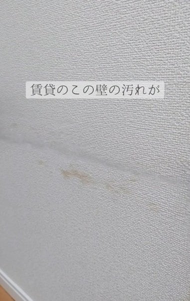 投稿の画像