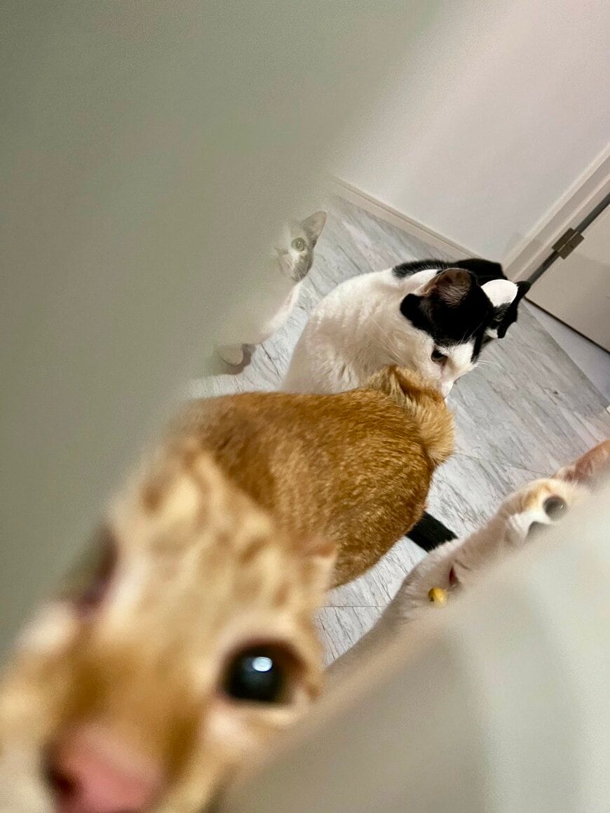 出所：@omochi_nam01