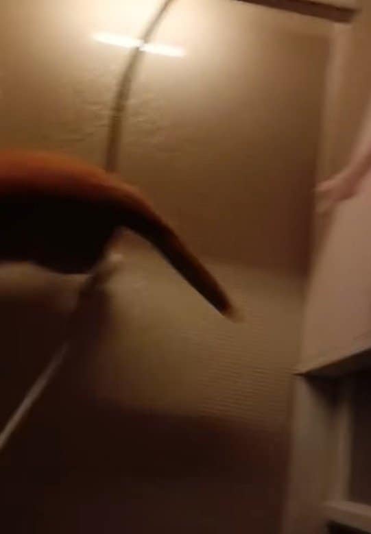 出所：＠torakichicorporation