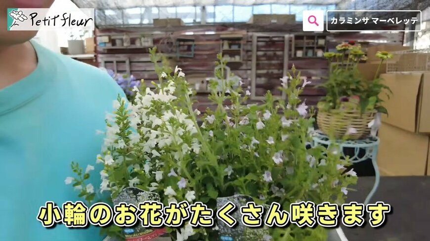 出所：@petit_fleur