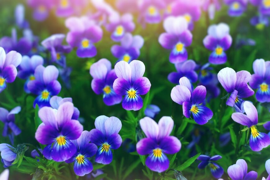 Katrien1/shutterstock.com