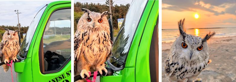 出所：@HardcoreOwl0911