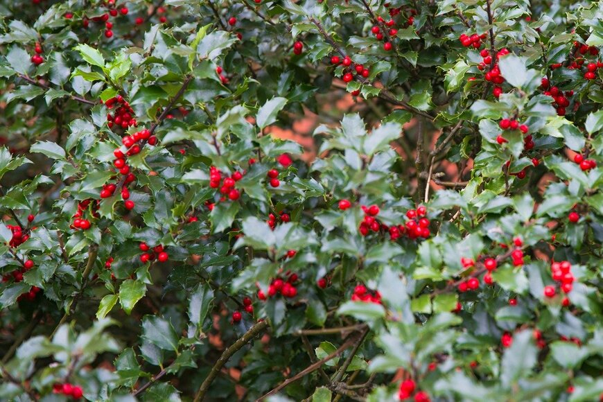 EvgeniiAnd/istockphoto.com