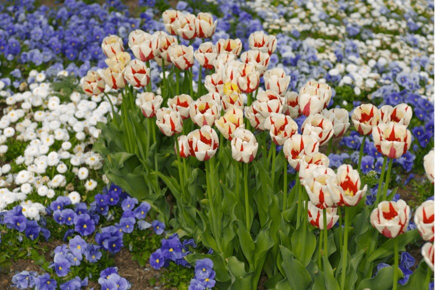 tobntno/istockphoto.com