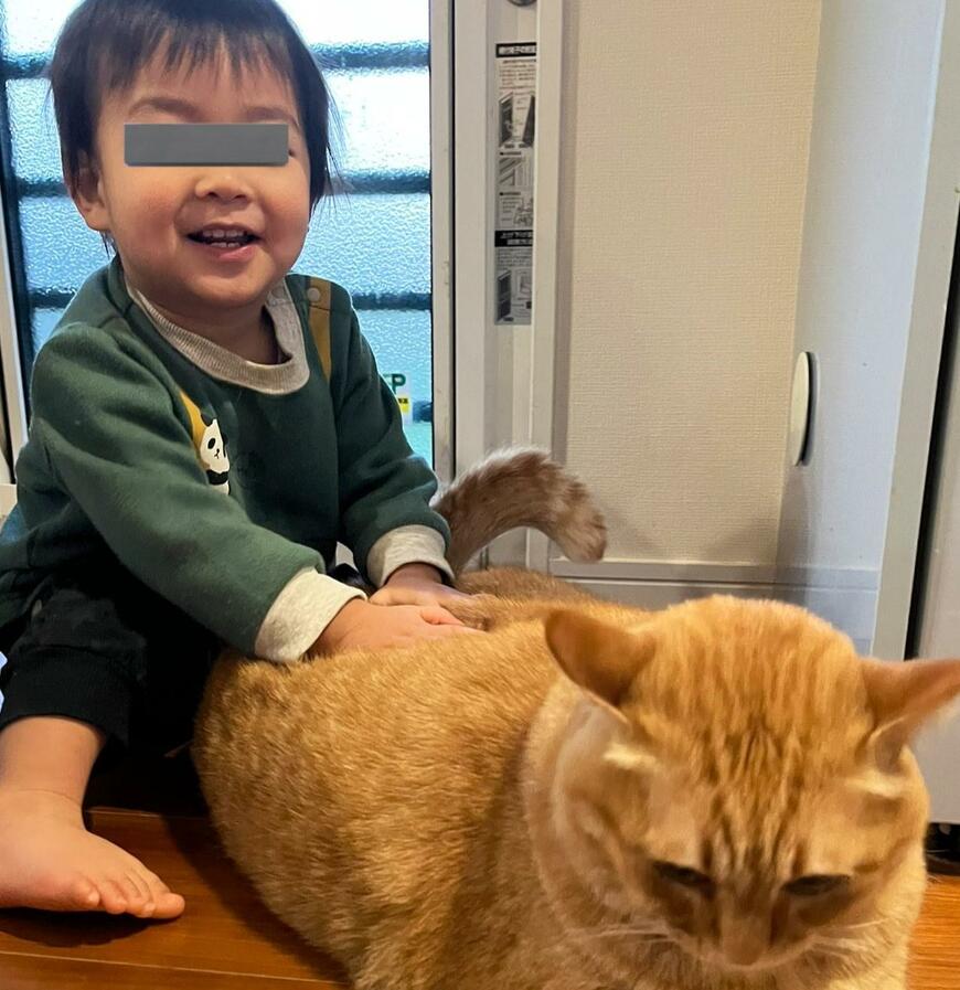 出所：@kagisuzu0531