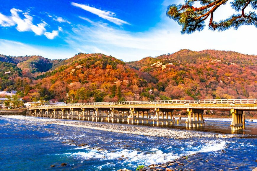 DRN Studio/shutterstock.com