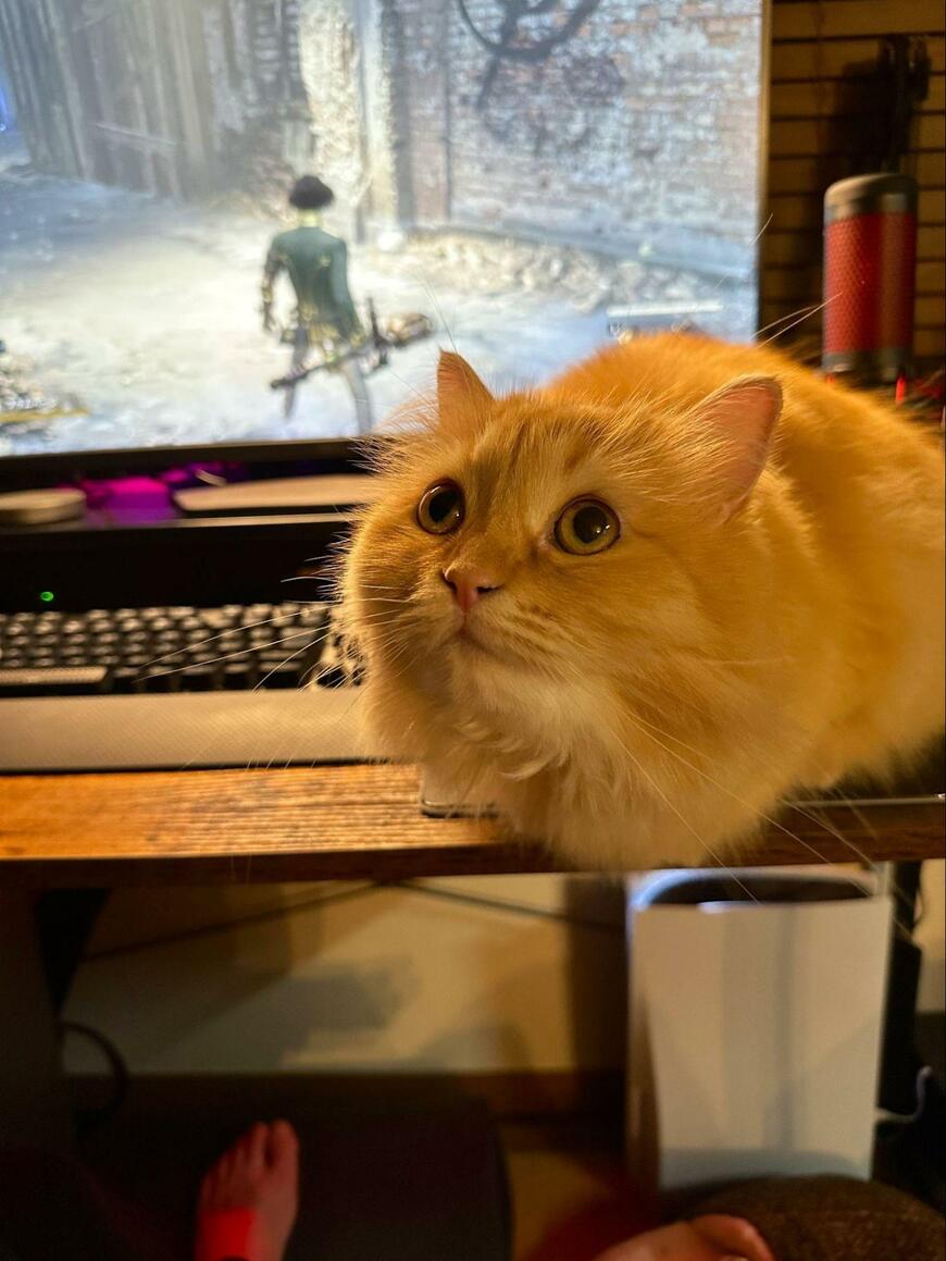 出所：@NEKOLAND13