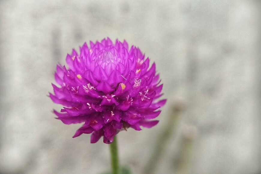 Yogi Patrya/istockphoto.com