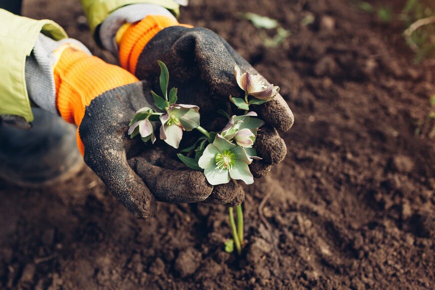 Mariia Boiko/Shutterstock.com
