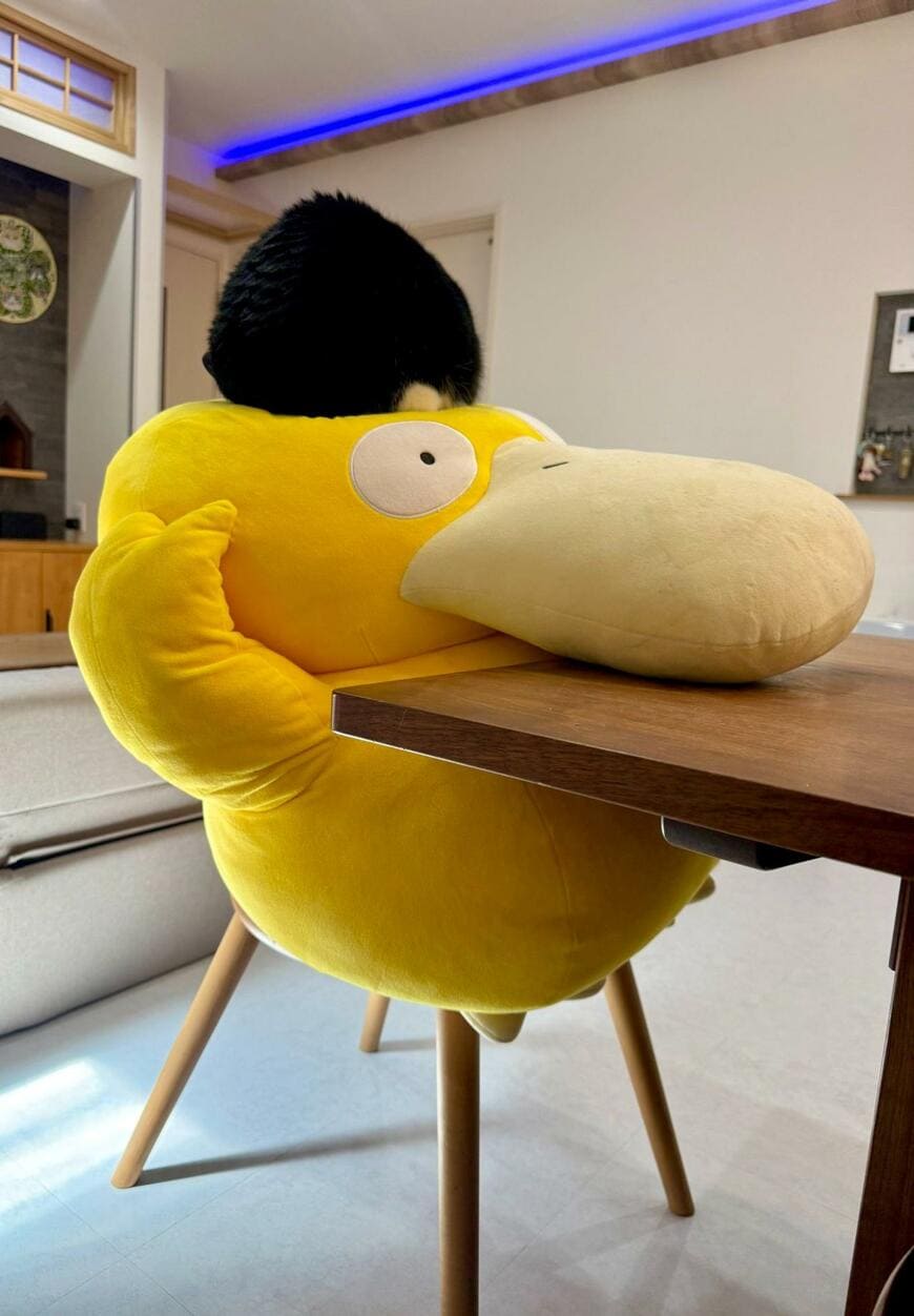 「烏帽子が似合う」ぬいぐるみの上の「黒いもこもこ」の正体に笑っちゃう