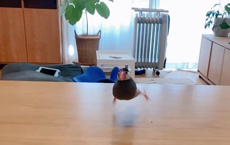 出所：@nebllse0121