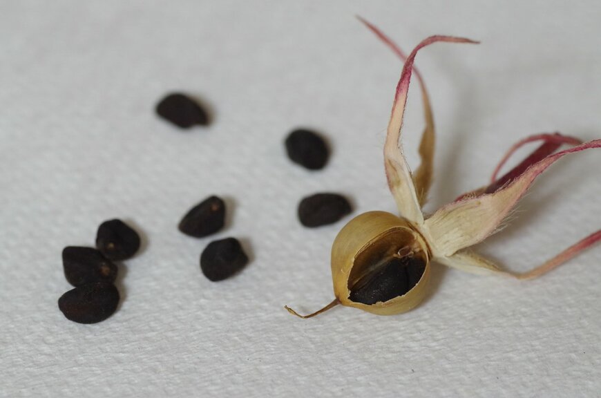 Takuya Aono/istockphoto.com