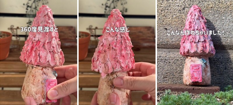 出所：＠taniku_succulents_life