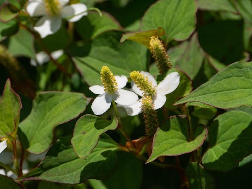 traction/shutterstock.com