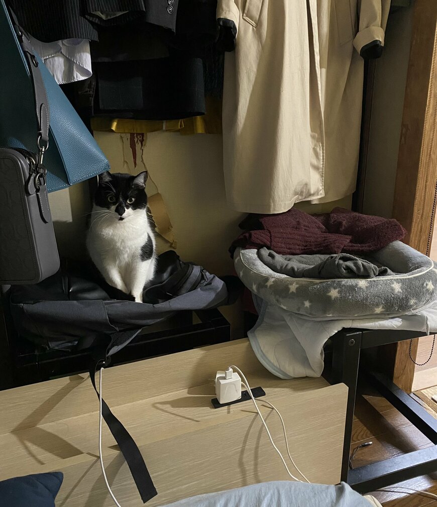 出所：@00shitemita