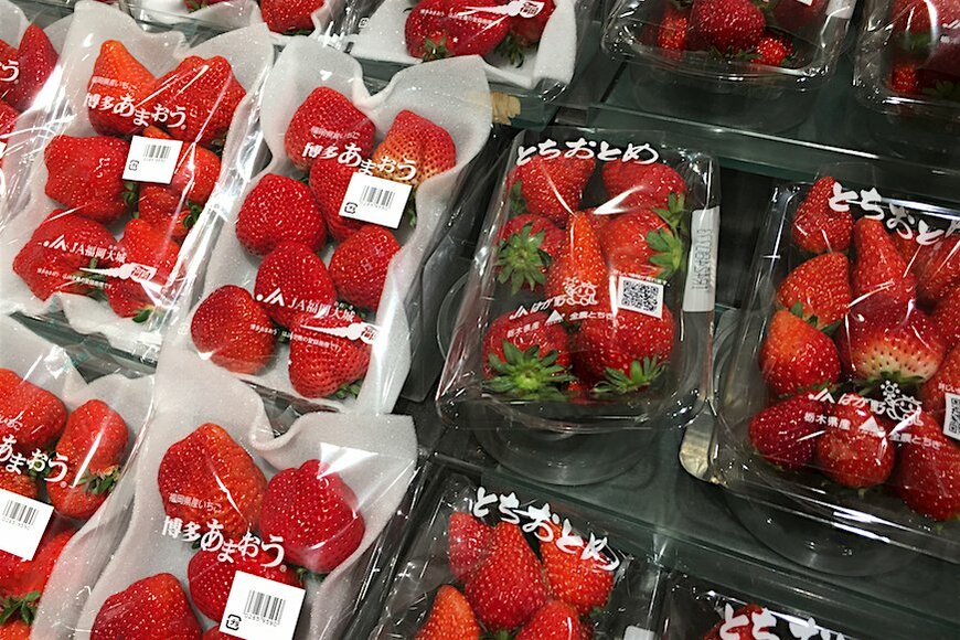 日本人は果物を食べなくなった！？ 「もぐもぐタイム」でイチゴは注目されたが
