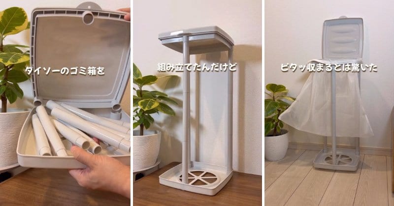 投稿の画像