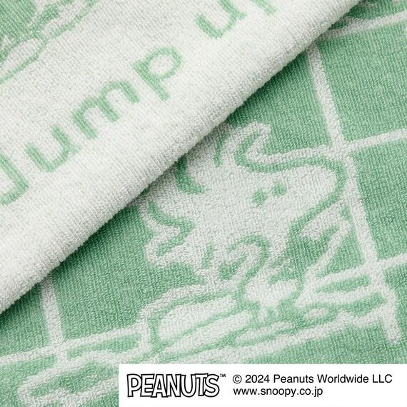 のびのび枕カバー WJダンス スヌーピー（ブラウン・グリーン）