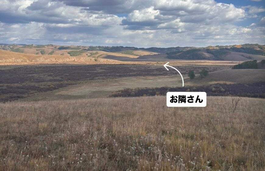 お隣さんがこちら