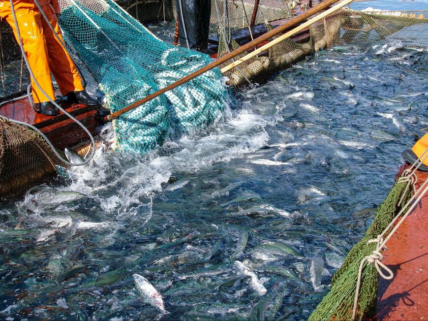 八丈島の農林業生産額と漁業生産額をご紹介