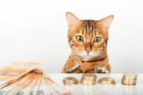 厚生年金と国民年金の平均受給額を男女別にチェック！月14万円もらえる人は何パーセントか？