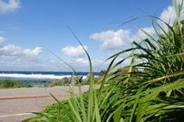 「GWのドライブ」に最適　沖縄名物が勢揃いする全国トップクラスの道の駅「許田」