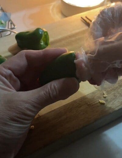 投稿動画のワンシーン