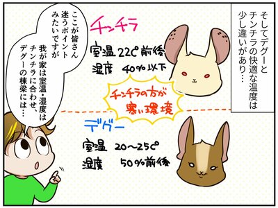 チンチライフ第186話