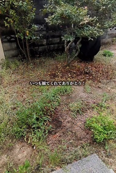 投稿の画像