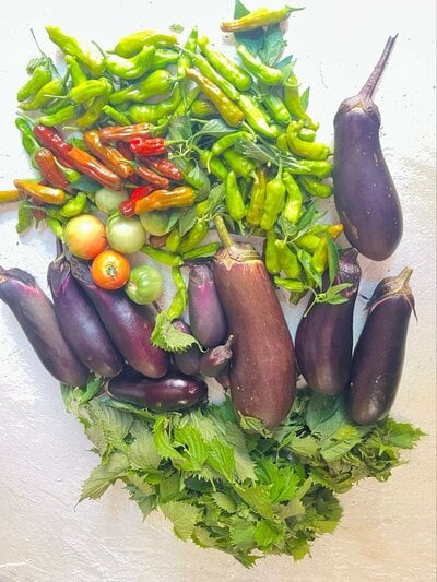大量の夏野菜