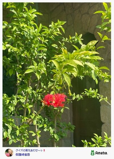 假屋崎省吾のAmebaブログ投稿