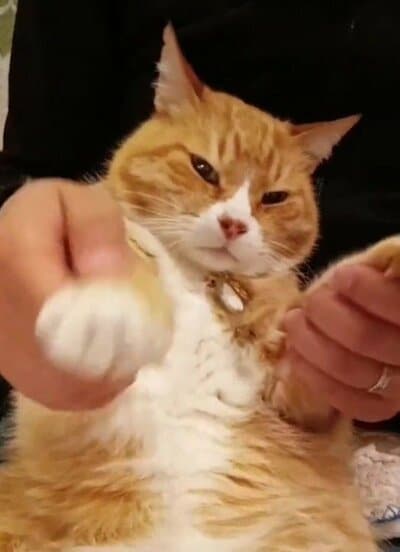 虚無感に満ちた表情