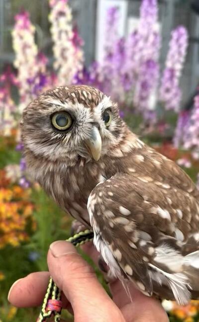 投稿動画のワンシーン