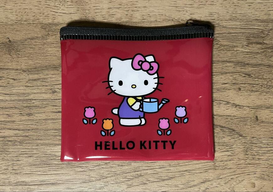 筆者撮影（キャンドゥ、ミニフラットポーチ KT ニュースタンダード）