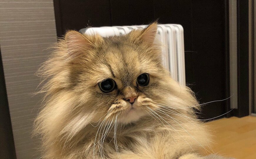 出所：@UphQepCv8J