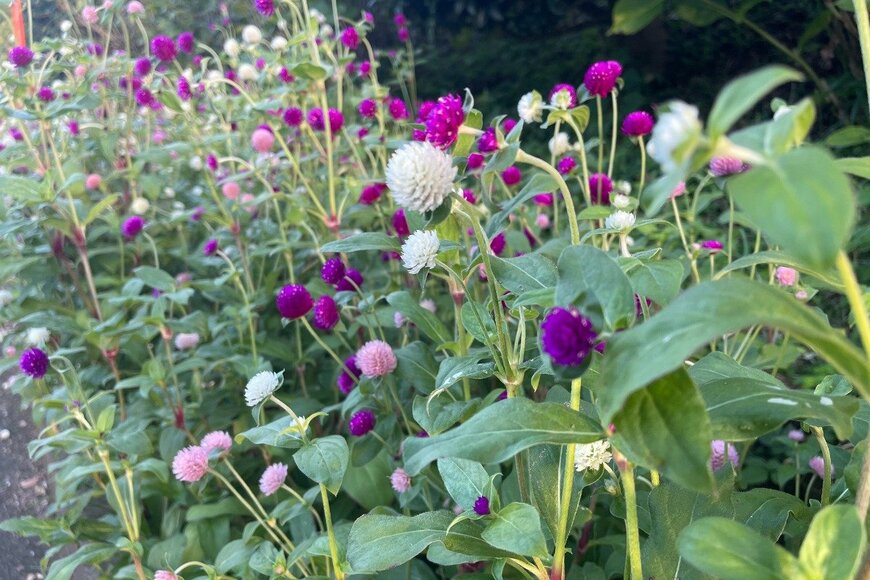 Tara Ghartee/istockphoto.com