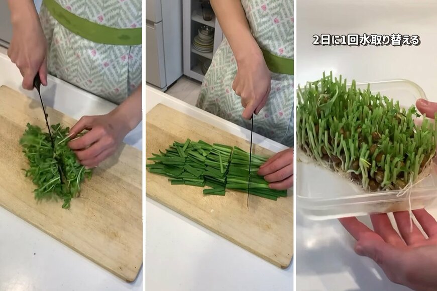 出所：@potato_nonchan