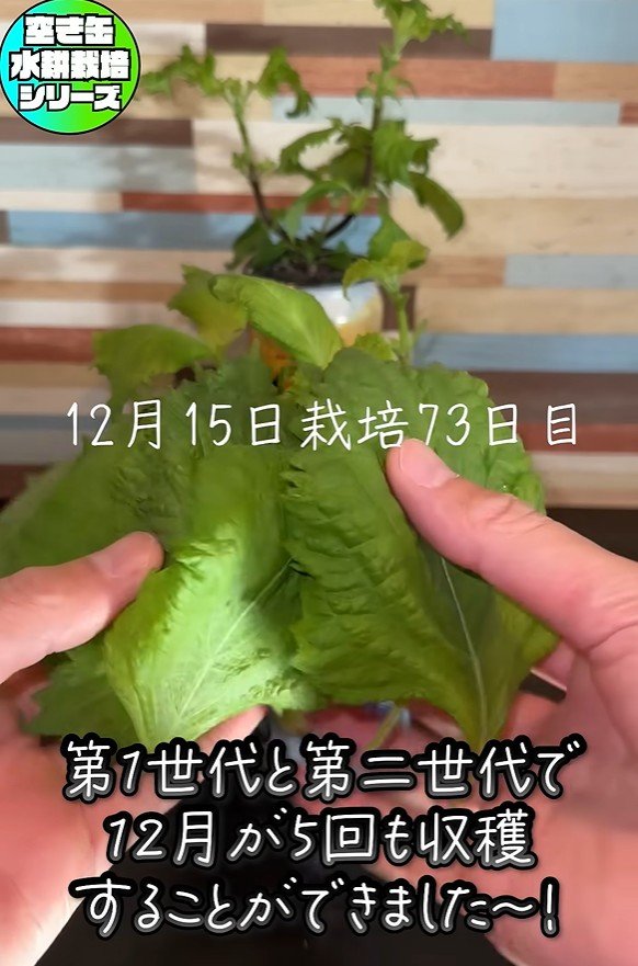 出所：@mikanbo-ya1987